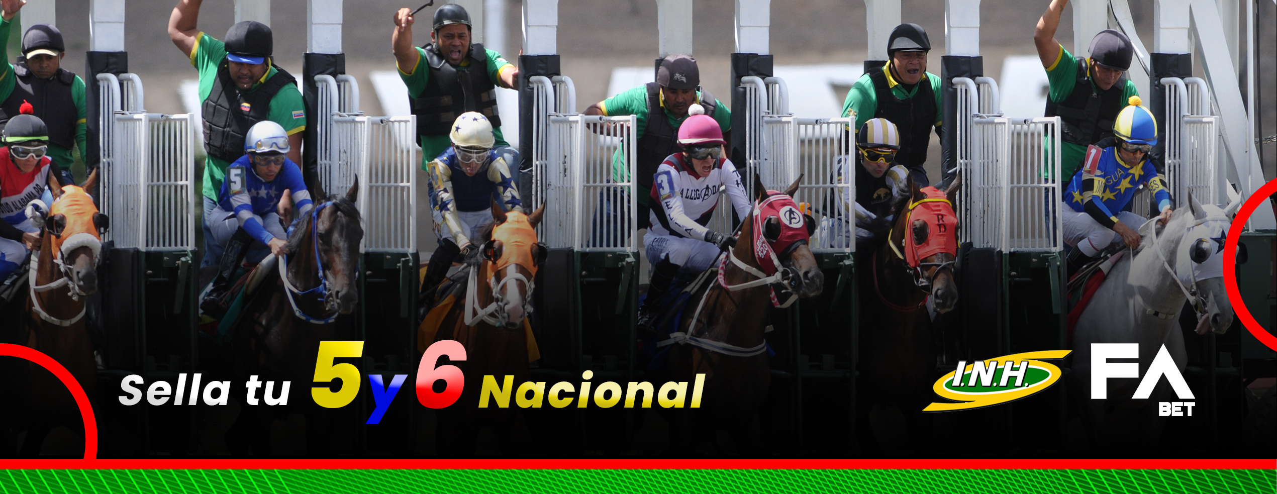 2026-05/BANNER HIPISMO NACIONAL 2.jpeg